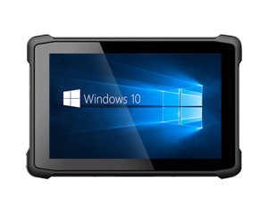 10windowsϵyI(y)ƽX|I(y)X|pad